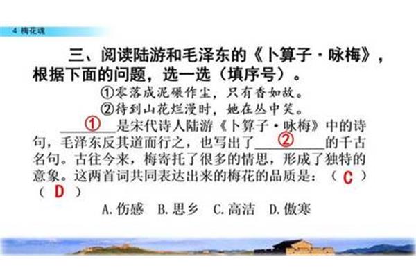 梳理近义词