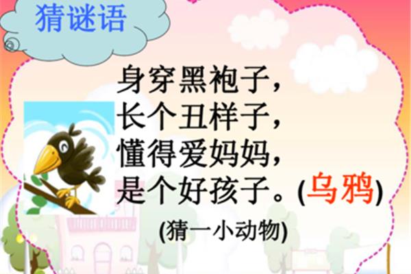 猜谜语小动物