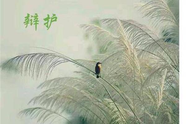见解的近义词