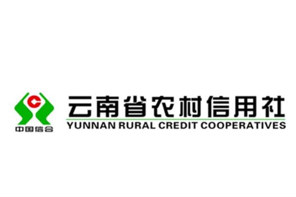 云南农信社