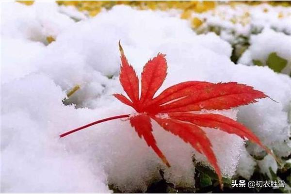 大寒节气诗