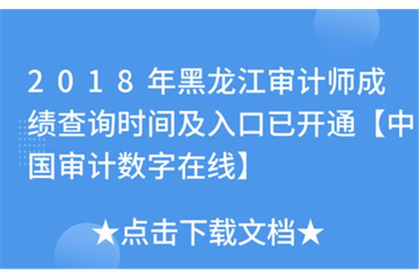 审计数字在线网