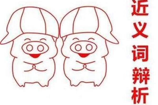 also近义词
