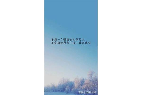 事与愿违的意思