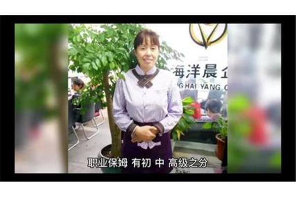 保姆是什么意思