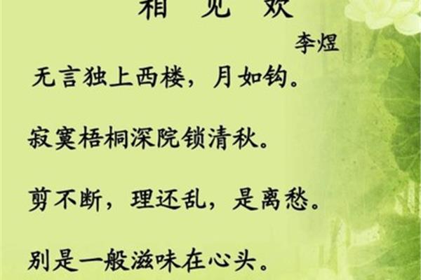 无言独上西楼