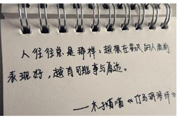 事与愿违的意思