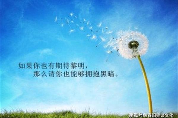 真诚的句子