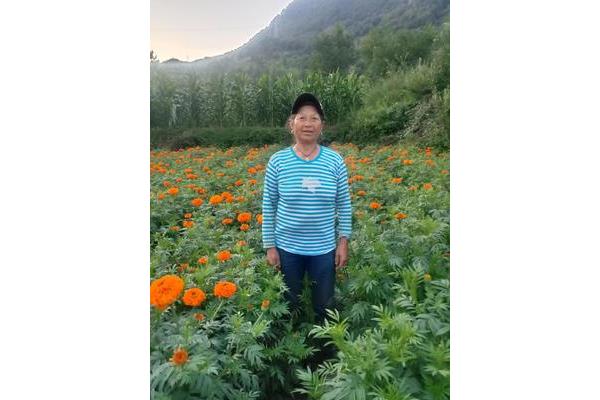 简简单单的幸福