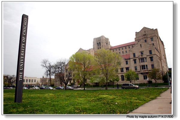 美国芝加哥大学