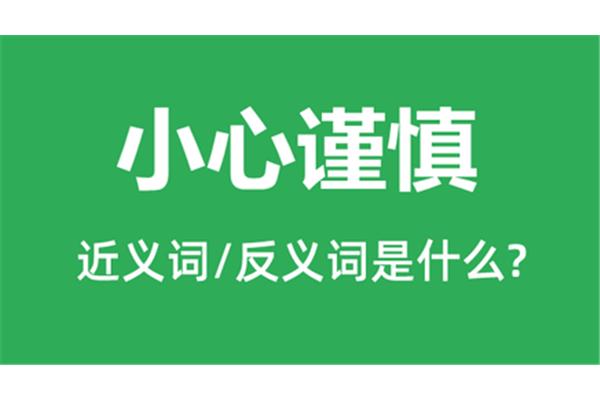谨慎的近义词
