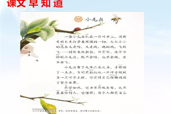 小毛虫课文