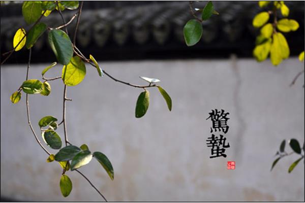 惊蛰是哪天