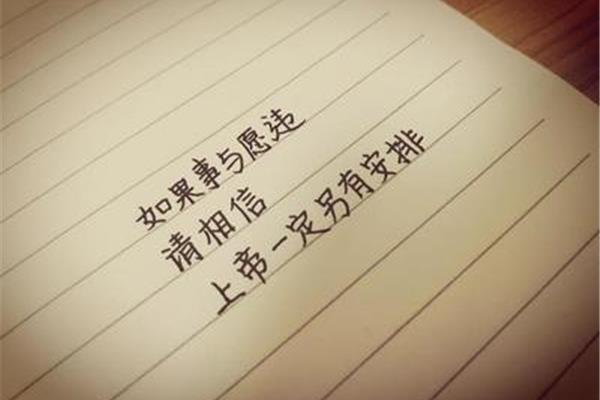 事与愿违的意思