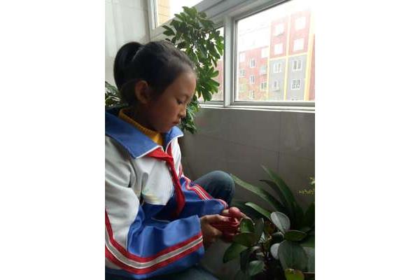 js小学生