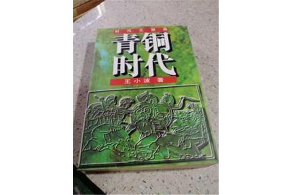 青铜时代王小波