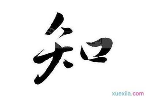 知开头的成语