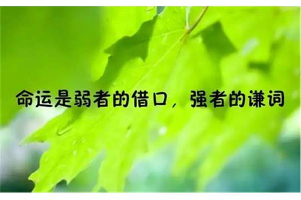 真诚的句子