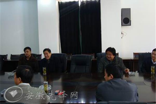 安徽先锋网