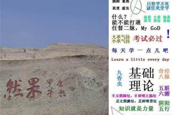 藏象一词始见于