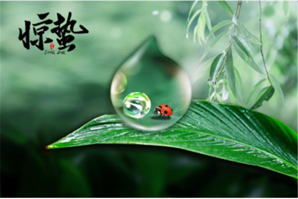 惊蛰是哪天