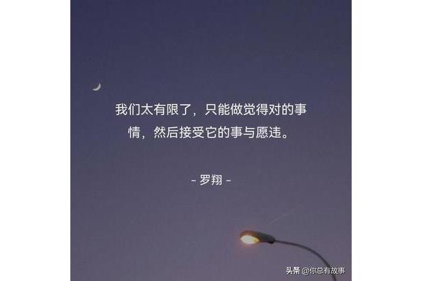 事与愿违的意思