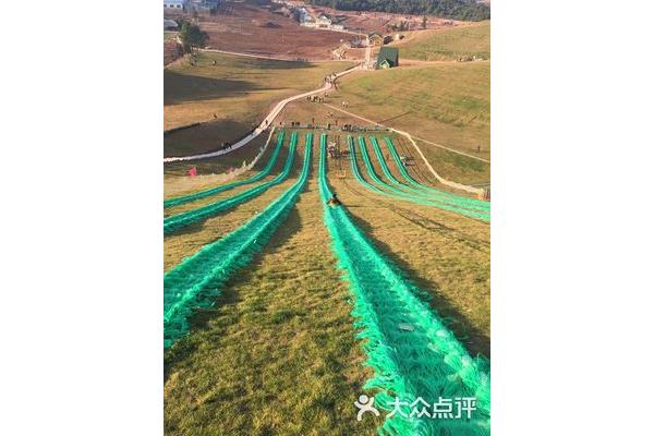 飞鸿滑草场