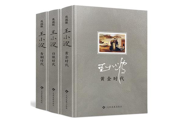 青铜时代王小波