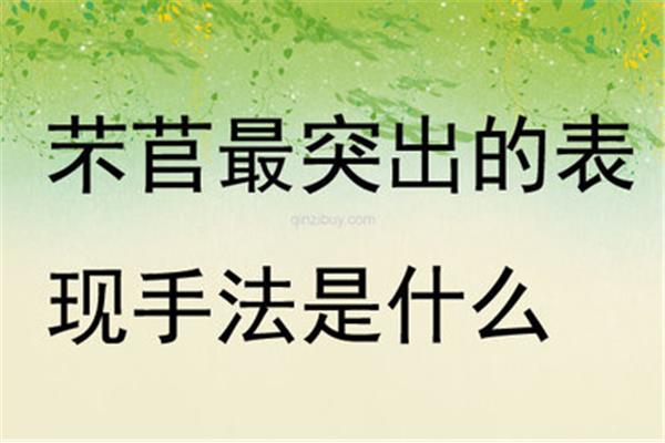 什么是表现手法