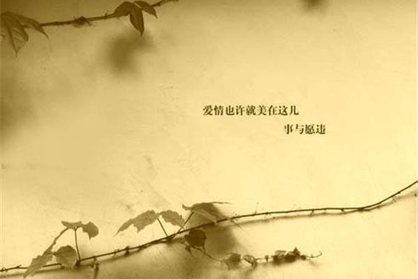 事与愿违的意思