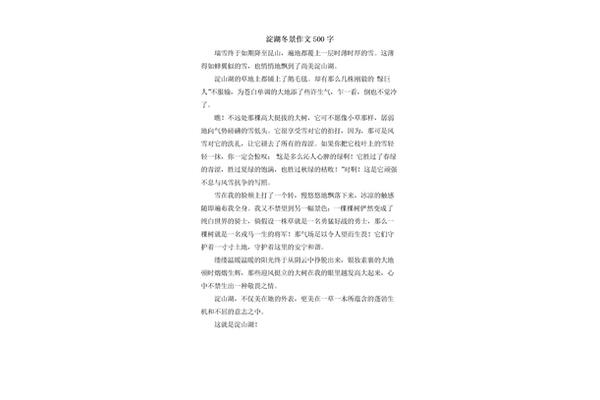 冬景作文500字