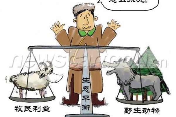 什么是生态平衡