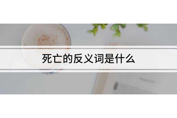 丧失的反义词