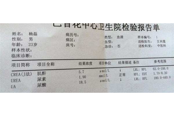 肌酐多少为正常
