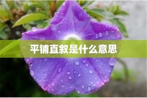 平铺直叙的意思