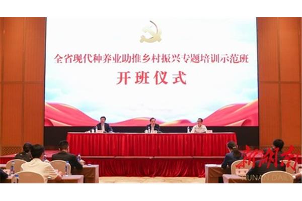 乡村振兴培训