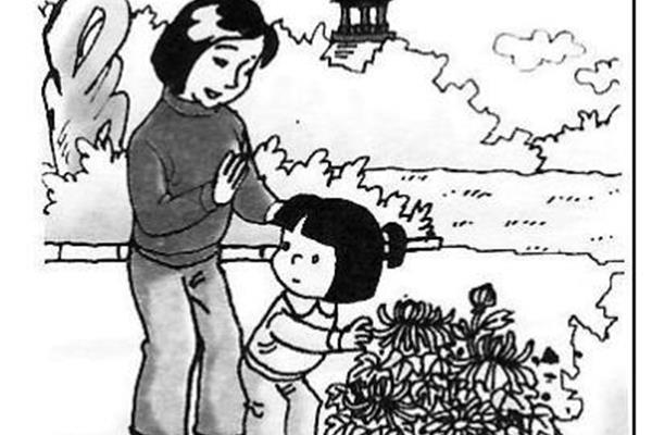 看图写话大全