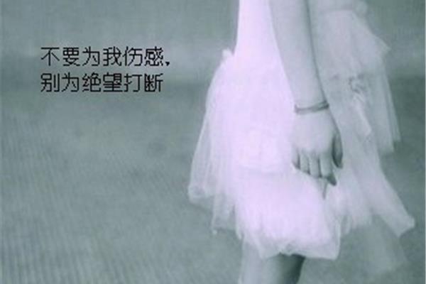 不再见歌词