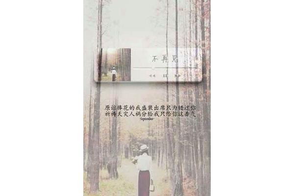 不再见歌词