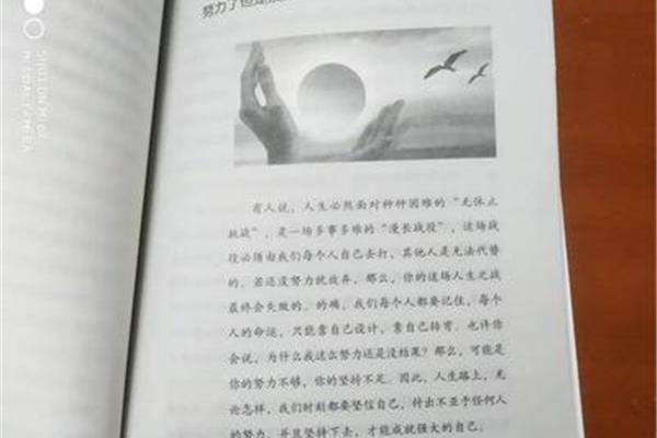 理想的事例