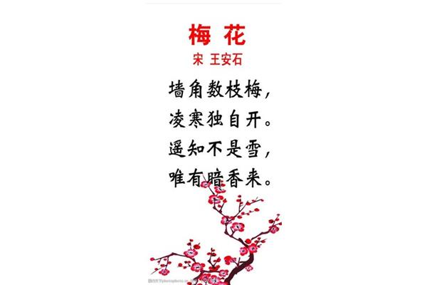 有关梅花的古诗