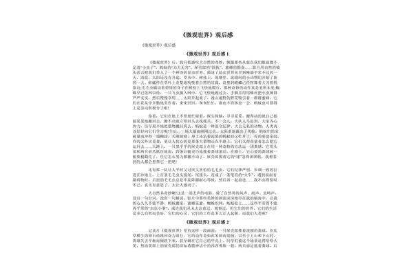 微观世界观后感