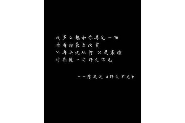 不再见歌词