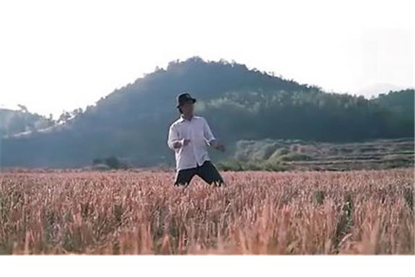 田野上的梦