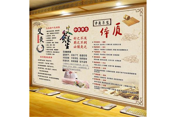 九种体质养生