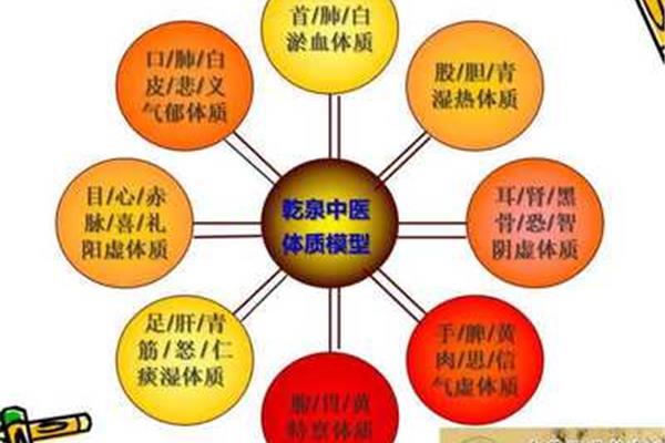 九种体质养生