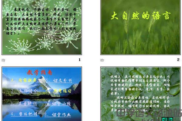 大自然的语言