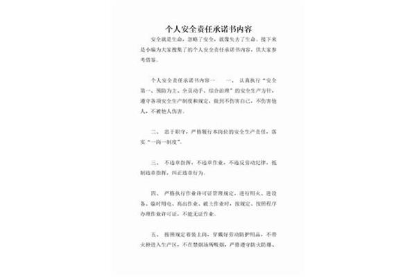 责任承诺书