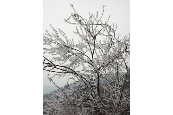 形容雾凇的诗句