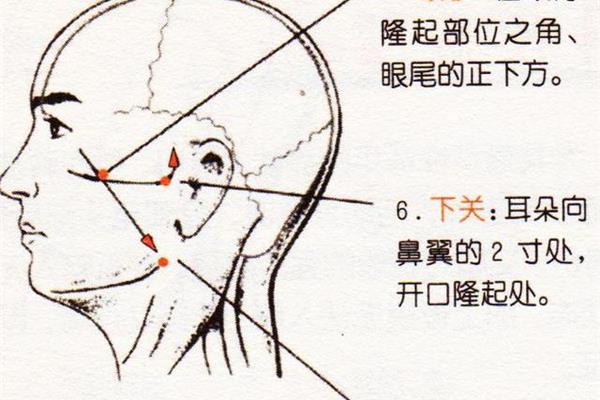 三叉神经在哪